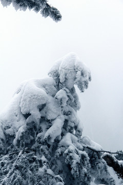 雪景