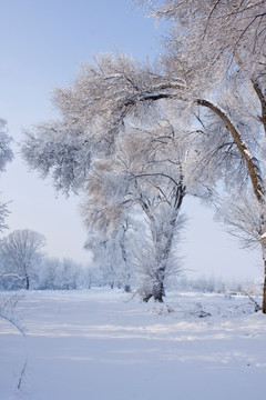 冰雪世界