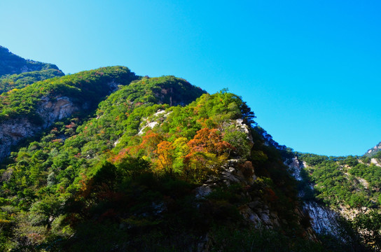 秦岭秋天风光