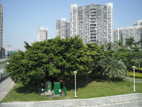 深圳建筑群