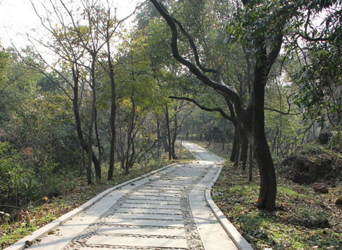 小路