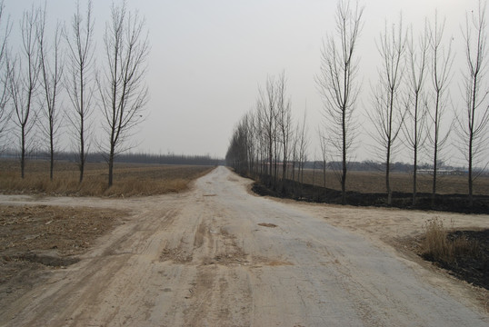 冬季乡村土路