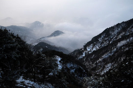 泰山云海