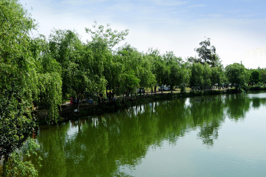 成都两河公园景观湖
