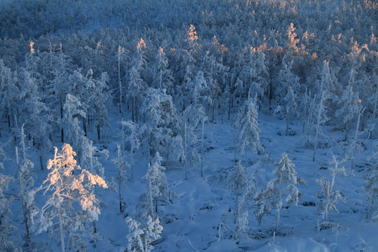 大兴安岭冬季原始森林