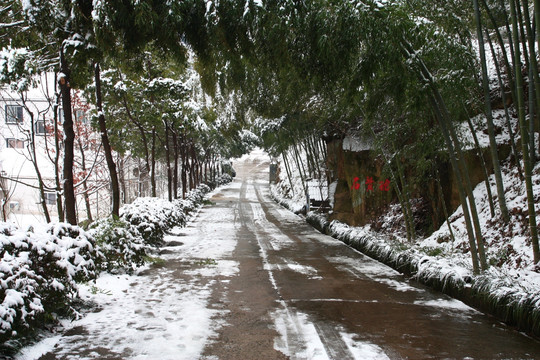 雪后竹径