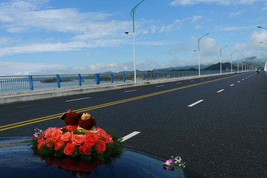 婚车 花车 大桥