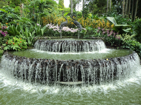 新加坡胡姬园喷泉