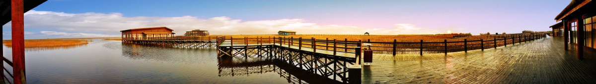 崇明东滩湿地公园廊桥 夕阳版