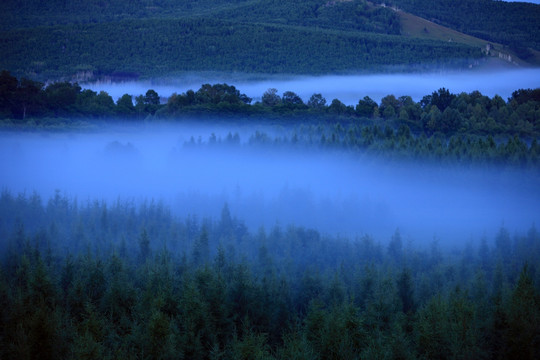 林中夜雾飘渺