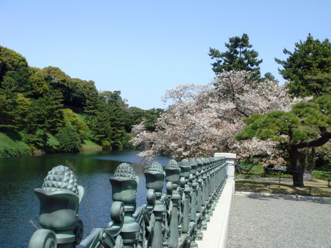 日本皇宫护城河