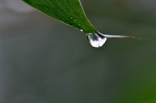 水滴