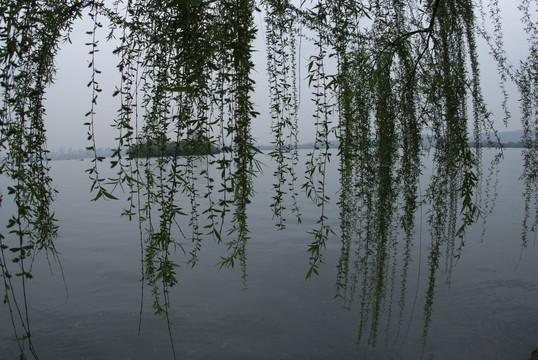 西湖小景
