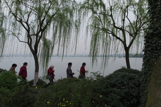 西湖小景