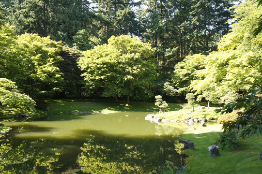 植物园