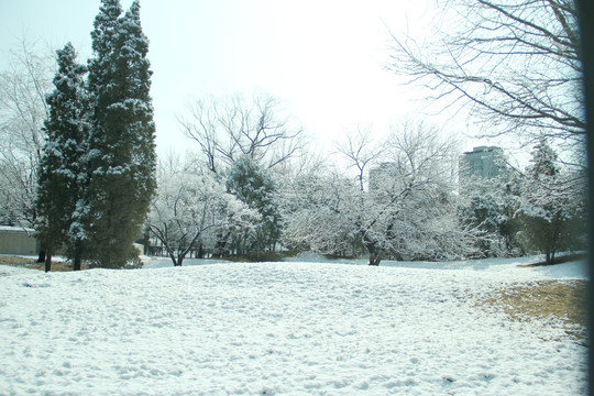 雪景公园