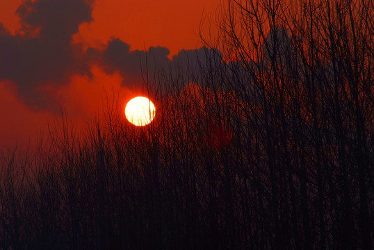 污染的夕阳