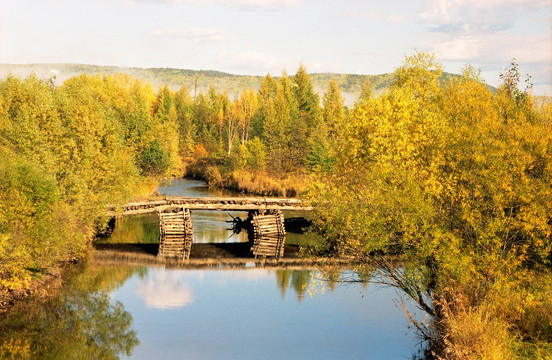 柴河林区 河上的木桥
