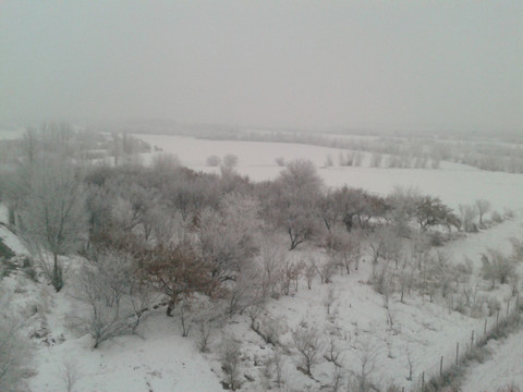冬天的河岸