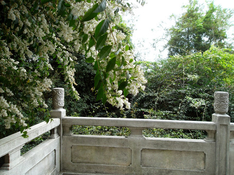 白云山