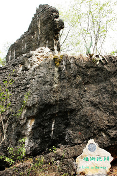 安顺 天星桥景区