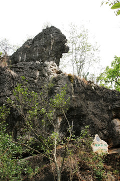 天星桥景区 雄师把关