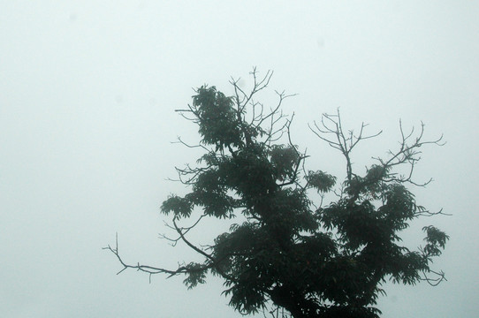 雨景