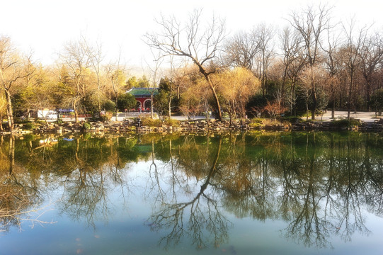 灵谷寺风景