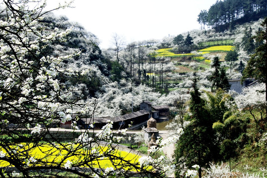 雪山下的小村