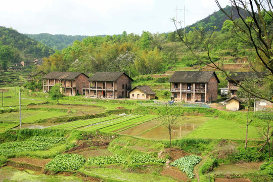 湖南省湘潭 山区农家