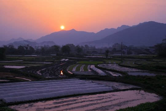 暮色田野