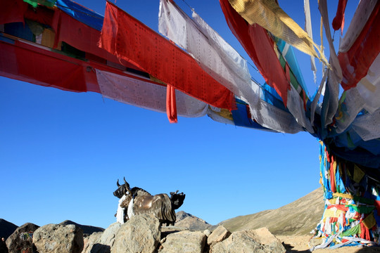 西藏 经幡