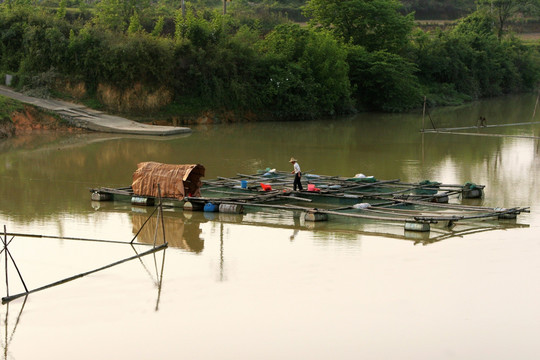 柳州 水产养殖