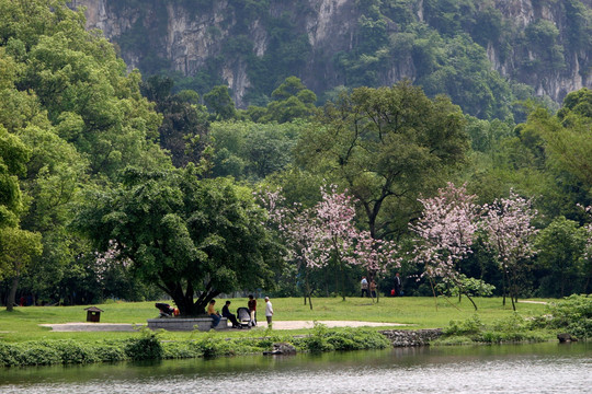 柳州龙潭风景区