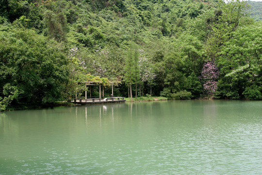 广西柳州 镜湖