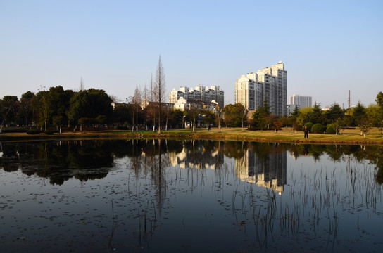 公园风景