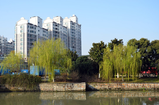 城市风景