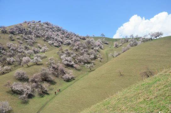 层叠的山峦