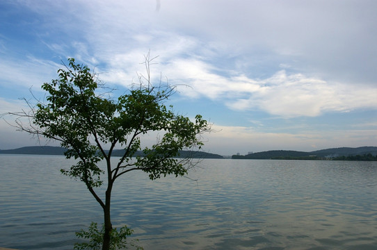 武汉东湖磨山风光