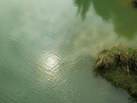 河面