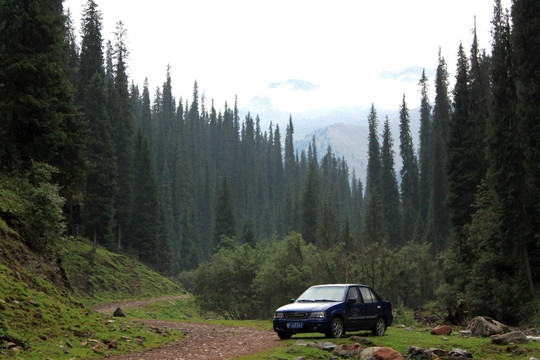 新疆特克斯科桑溶洞国家森林公园
