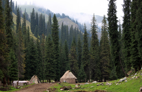 新疆特克斯科桑溶洞国家森林公园