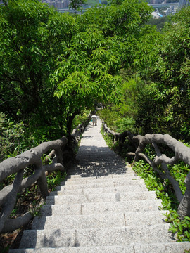 登山道