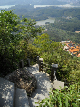 登山道