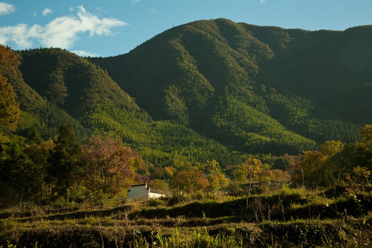 塔川秋色