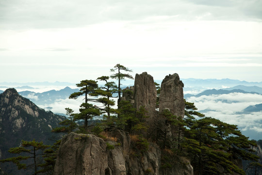 黄山 云海