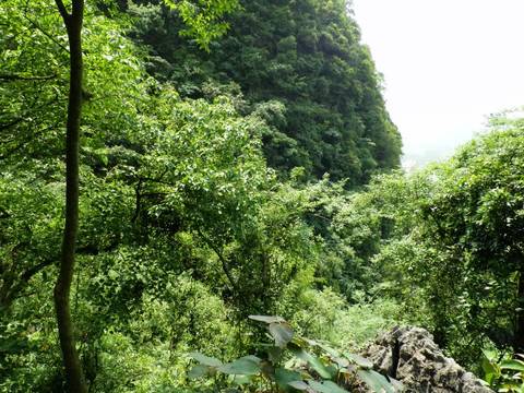 寺院风景