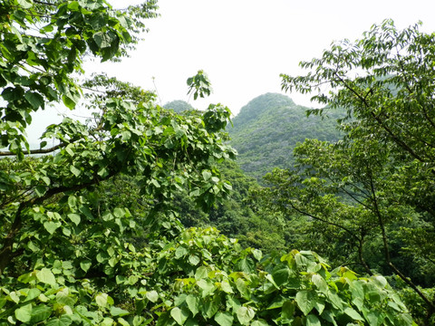 寺院风景