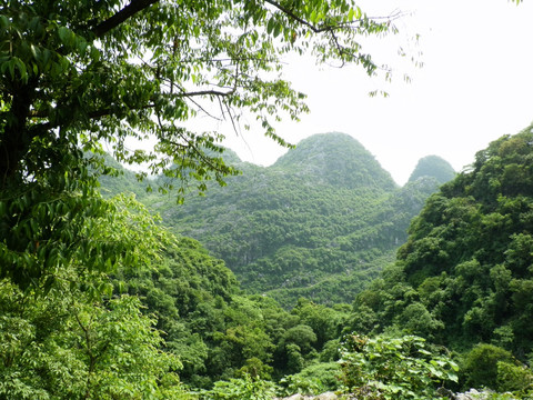 寺院风景