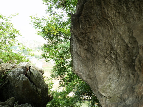 山顶风光